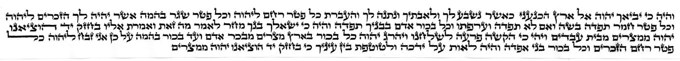 ניתוח לדוגמה