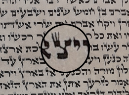 בדיקת אותיות